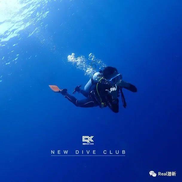 全民烧脑3去广告版